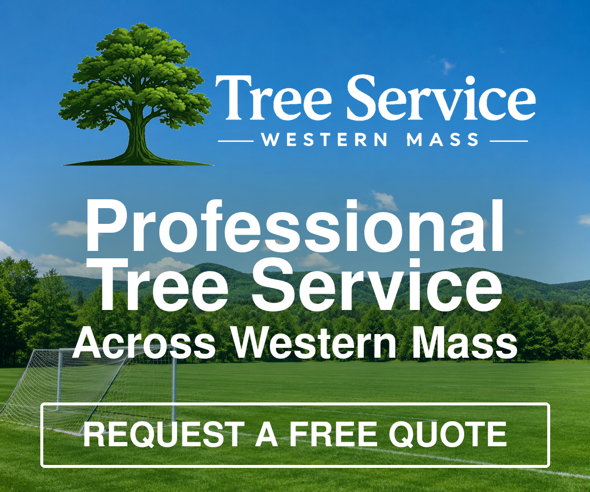 Tree Service Western Mass. Professional tree service across Western Mass. Request a free quote.