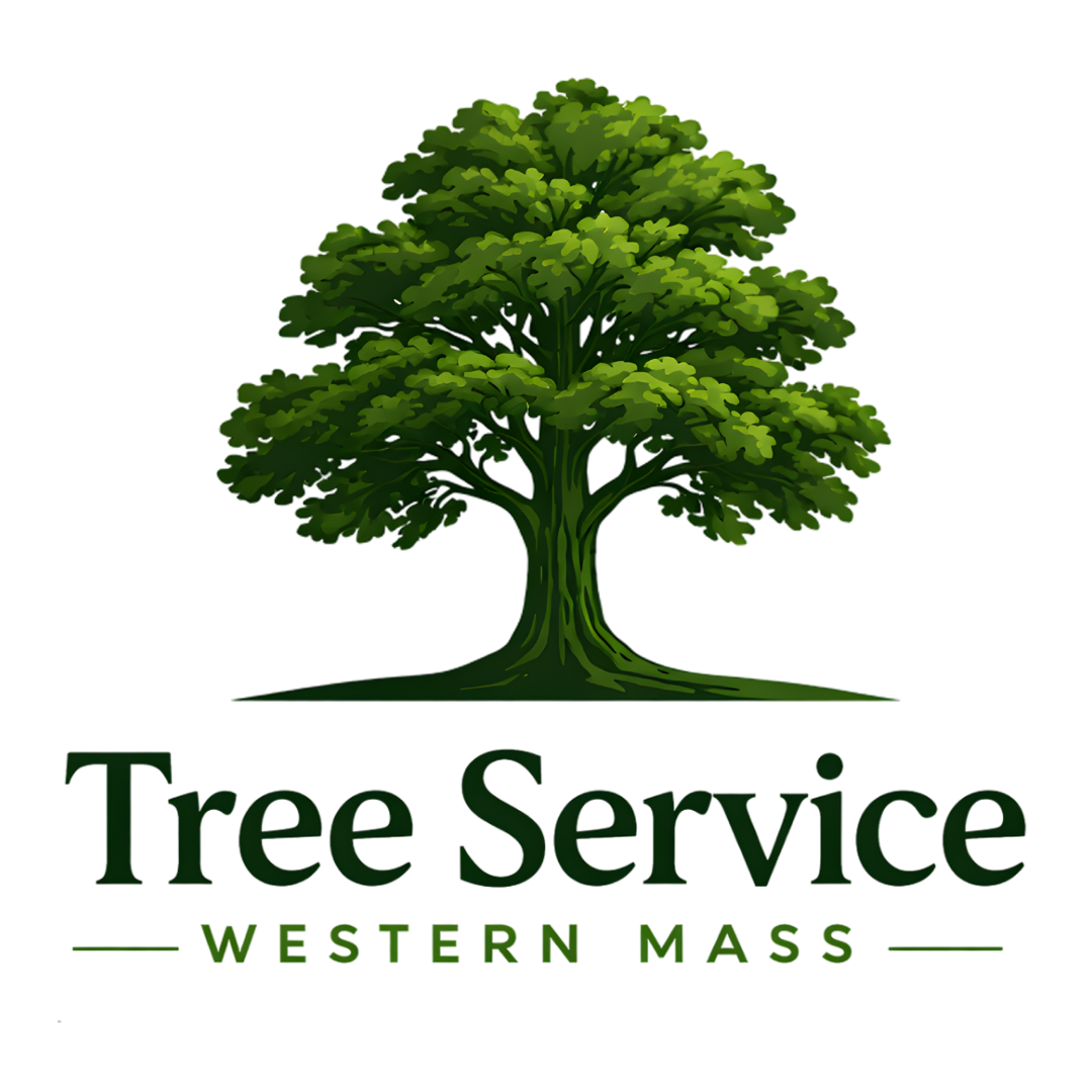 Tree Service Western Mass